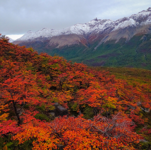 El Chaltén