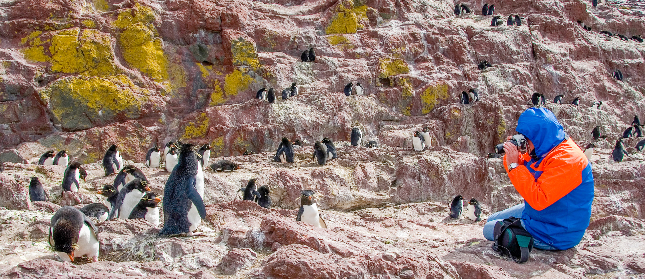 Parque Interjurisccional Marino Isla Pingüino